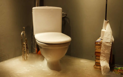 What Problems Can an Ignored Clogged Drain Create?